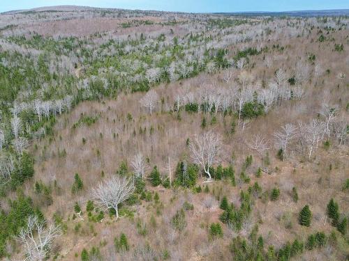 Acreage Mason Road, Glendale, NS 