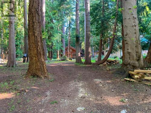 1157 Tennyson Rd, Savary Island, BC - Outdoor