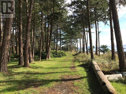 1157 Tennyson Rd, Savary Island, BC - Outdoor With View