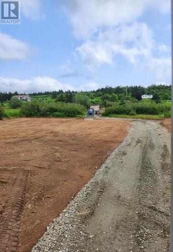 1 Main Road, Upper Ferry, NL 