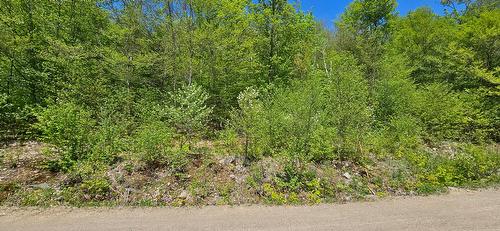 Façade - Ch. Des Cimes, Saint-Donat, QC 