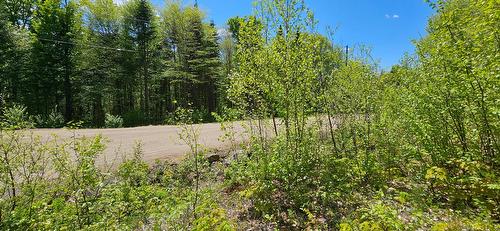 Terre/Terrain - Ch. Des Cimes, Saint-Donat, QC 