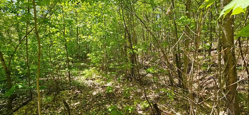 Terre/Terrain - Ch. Des Cimes, Saint-Donat, QC 