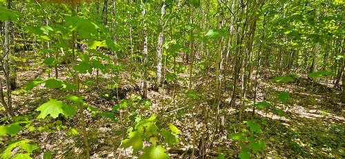 Terre/Terrain - Ch. Des Cimes, Saint-Donat, QC 