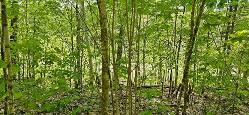 Terre/Terrain - Ch. Des Cimes, Saint-Donat, QC 