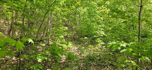Terre/Terrain - Ch. Des Cimes, Saint-Donat, QC 
