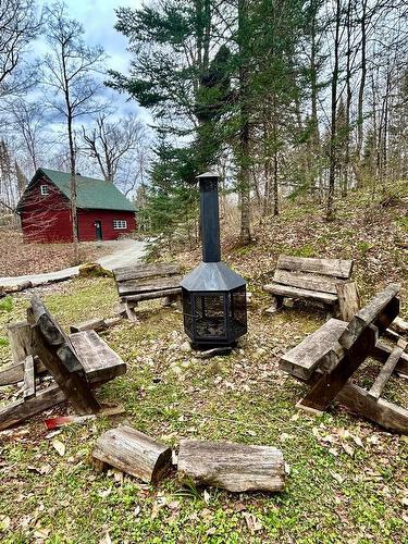 Cour - 21 Imp. Des Grands-Montets, Lac-Supérieur, QC - Outdoor