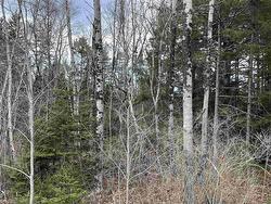 N-200 Sarty Road  Hebbs Cross, NS B4V 0X6