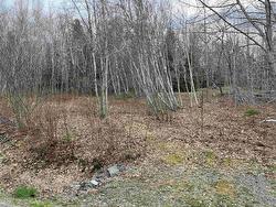 Lot 2 Sarty Road  Camperdown, NS B4V 0X6