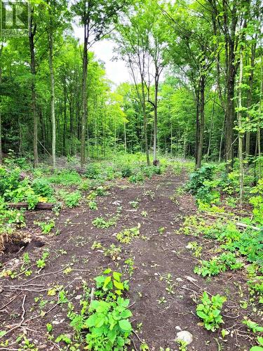 0 Spry Road, Stirling-Rawdon (Rawdon Ward), ON 