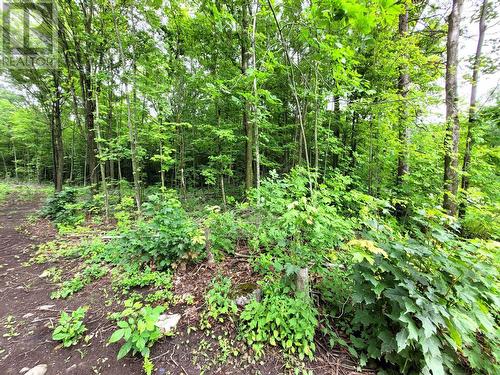 0 Spry Road, Stirling-Rawdon (Rawdon Ward), ON 