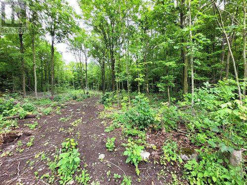 0 Spry Road, Stirling-Rawdon (Rawdon Ward), ON 