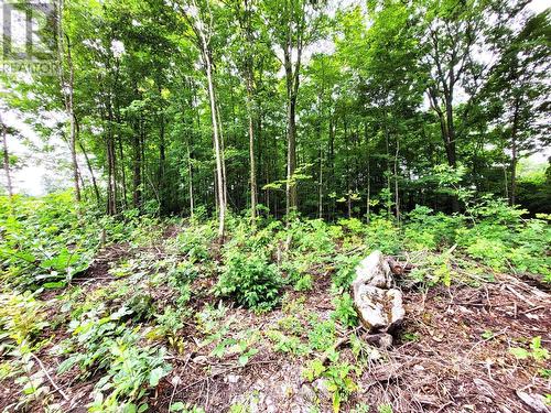 0 Spry Road, Stirling-Rawdon (Rawdon Ward), ON 