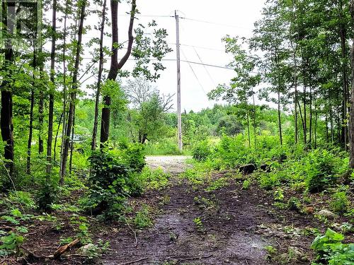 0 Spry Road, Stirling-Rawdon (Rawdon Ward), ON 