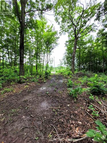 0 Spry Road, Stirling-Rawdon (Rawdon Ward), ON 