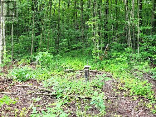 0 Spry Road, Stirling-Rawdon (Rawdon Ward), ON 