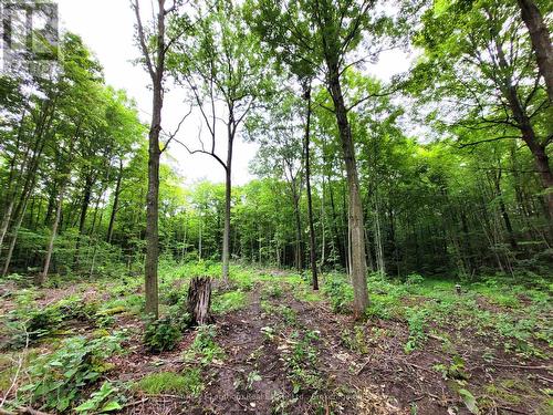 0 Spry Road, Stirling-Rawdon (Rawdon Ward), ON 