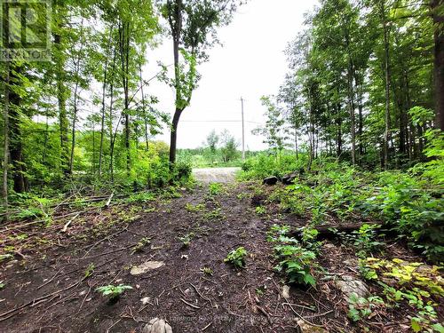 0 Spry Road, Stirling-Rawdon (Rawdon Ward), ON 