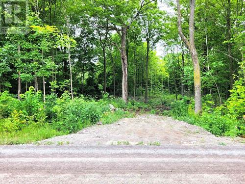 0 Spry Road, Stirling-Rawdon (Rawdon Ward), ON 