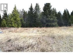 LOT 10 MCCARTHY ROAD  100 Mile House, BC V0K 1X0