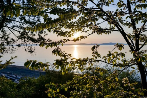 5153 Cordova Bay Rd, Saanich, BC 