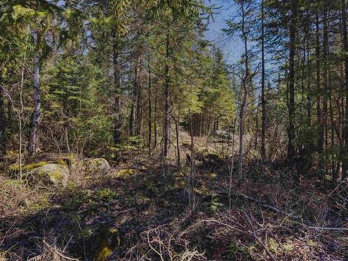 Part 3 Plan 23R15112 Hilly Lake Rd, Kenora, ON 