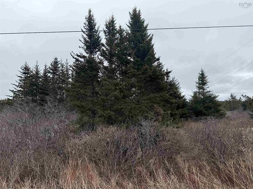 Georges Road, Upper Whitehead, NS 