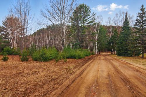 Terre/Terrain - Ch. O'Dwyer, Bowman, QC 