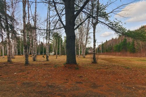 Terre/Terrain - Ch. O'Dwyer, Bowman, QC 