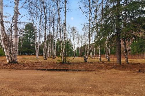 Terre/Terrain - Ch. O'Dwyer, Bowman, QC 