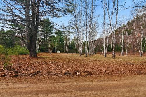 Terre/Terrain - Ch. O'Dwyer, Bowman, QC 