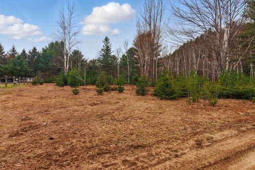 Terre/Terrain - Ch. O'Dwyer, Bowman, QC 