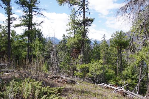 55 Lakeview Lot A Dl 5637 Lakeview Rd Road, Gold Bridge, BC - Outdoor With View