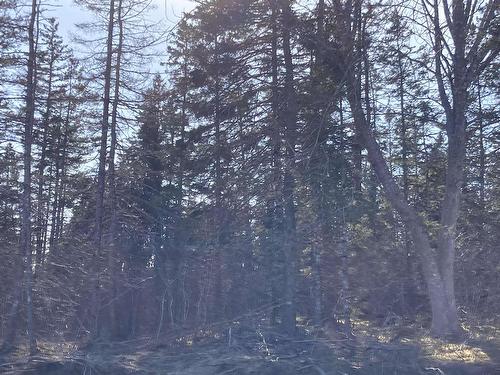 Lot 21-9 Mary Cecelia Ridge, Antigonish County, NS 