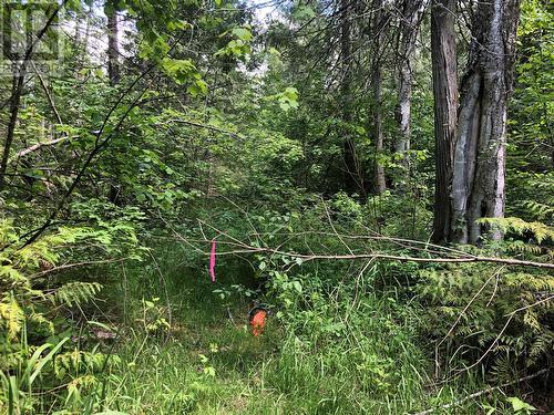 Wooded area West - 50 Valecairn Road, Enderby, BC 