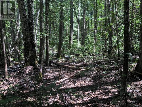 West side - 50 Valecairn Road, Enderby, BC 