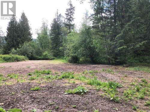 looking to the East - 50 Valecairn Road, Enderby, BC 