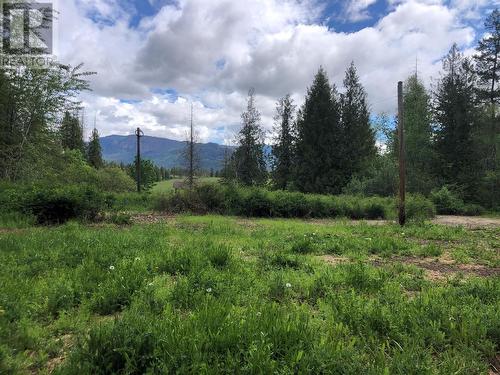 Looking N.E. - 50 Valecairn Road, Enderby, BC 