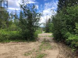 Driveway leading to cul de sac on Valecairn - 