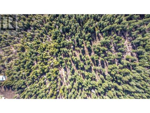 50 Valecairn Road, Enderby, BC 