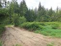 Driveway access to property is on the S.E - 50 Valecairn Road, Enderby, BC 