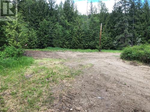 Possible building site looking N.W. - 50 Valecairn Road, Enderby, BC 