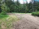 Possible building site looking N.W. - 50 Valecairn Road, Enderby, BC 