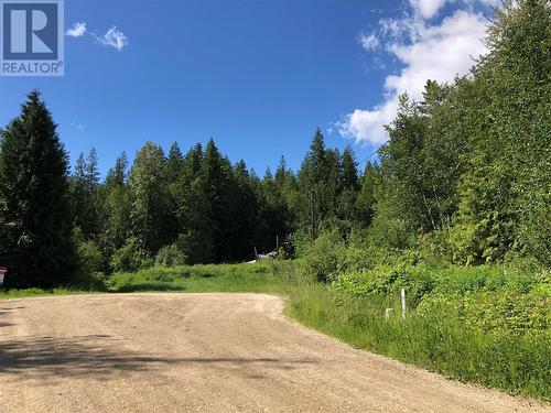Looking to the South West property boundary - 50 Valecairn Road, Enderby, BC 