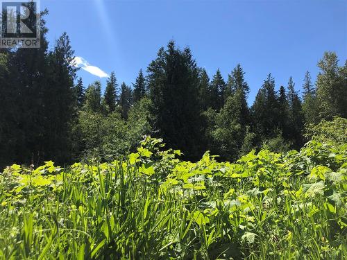 South West area. - 50 Valecairn Road, Enderby, BC 