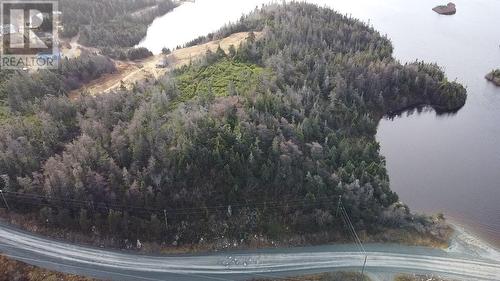 1 Horsechops Road, Cape Broyle, NL 