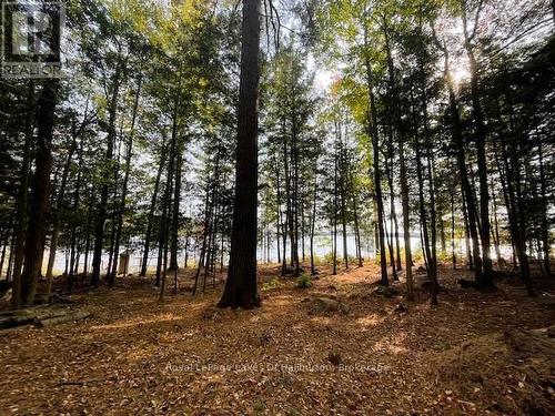 0 Hwy 35, Algonquin Highlands (Stanhope), ON 