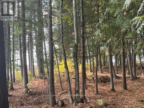 0 Hwy 35, Algonquin Highlands (Stanhope), ON 