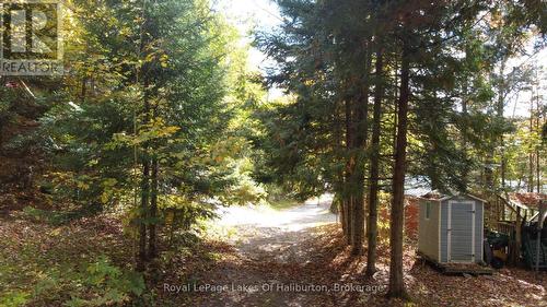 0 Hwy 35, Algonquin Highlands (Stanhope), ON 