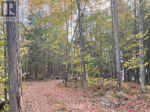 0 Hwy 35, Algonquin Highlands (Stanhope), ON 